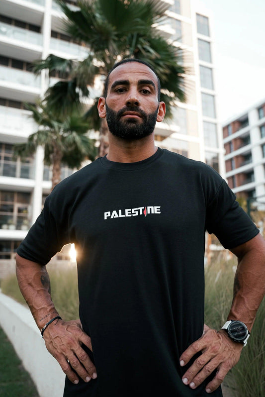 palestine shirt