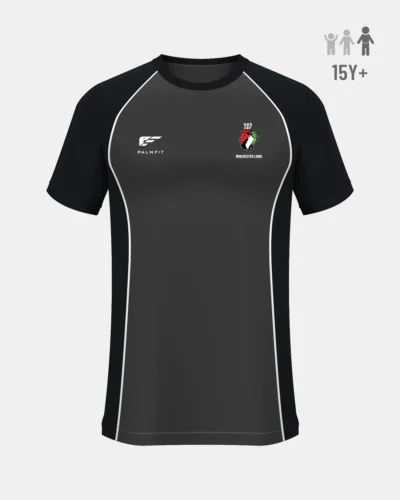 WSD Lions - BTEC - LEVEL 2