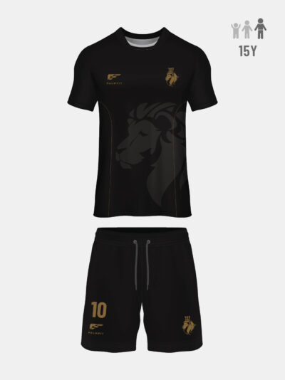 WSD Lions - Football Kit - Teens